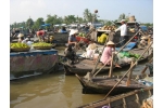 One Day Mekong Delta Tour (Cai Be - Vinh Long)  | Mekong Delta, Vietnam | Ho Chi Minh Tours & Excursions | Vietnam Travel
